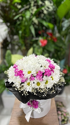 Kutuda Papatya Karanfil Arajmanı